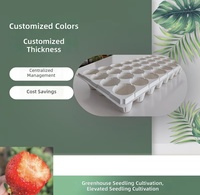 Plateau de semis en PP à 32 alvéoles pour fraises surélevées – Conception écologique, légère et durable avec trous pour la plantation des graines