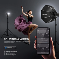 NEEWER Q200 200Ws 2.4G TTL Flash Profesional para Exteriores con Sistema de Disparo Inalámbrico y Control por Aplicación, Luz Estroboscópica