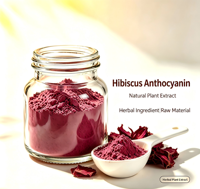 Blauwe bessen extract anthocyanen poeder natuurlijk plantenextract grondstof