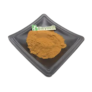 Estratto vegetale di vendita globale Ocimum Tenuiflorum Leaf extract Holy Basil leaf Extract powder
