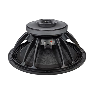 Caisson de basses actif professionnel de 21 pouces, 2500 W, double araignée, bobine vocale de 5 pouces, pour utilisation sur scène en extérieur, caisson de basses 21TBW-125 - Product Image 1
