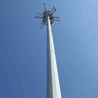 Tour d'antenne de téléphone portable de télécommunication en acier GSM 3g 4g 5g BTS