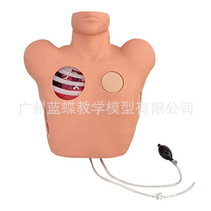 Simulación completa de punción y percusión lumbar, manejo de neumotórax, drenaje torácico cerrado y simulación de punción. - Product Image 2