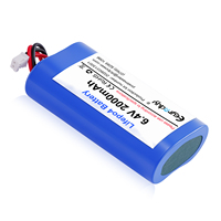 Paket Baterai LifePO4 6.4V 2000mAh 2S 3S 4S 18650 Kustom untuk Penyemprot Elektrik, Pompa Ransel Pertanian & Alat Pertanian, Sistem Tenaga Surya