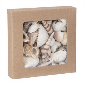 Coquillages naturels bruts pour vase, petits accessoires de décoration, 1-3 cm, décorations de coquilles Saint-Jacques blanches - Product Image 4