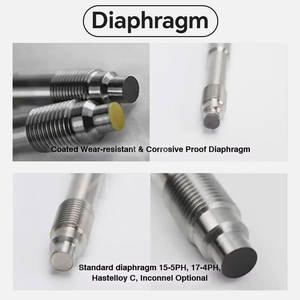 Trasmettitore di Pressione Flessibile PT124B-122 Riempito di Olio di Silicone, Tipo Sanitario, Uscita 4-20mA, Range 0-150MPa, Acciaio Inox 304/316L - Product Image 4