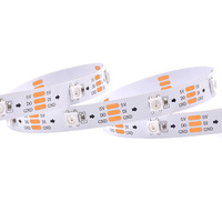 Bande LED à pixels polyvalente multi-spécifications SK6812 WS2812 DC5V RGB/RGBW 30/60/144 LED pour la décoration intérieure de Noël et la décoration de la maison