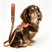 Harnais pour chien DLY en cuir souple, élégant et luxueux, personnalisé, avec boucle mignonne et ensemble de laisse, accessoires de poitrine de luxe pour animaux de compagnie