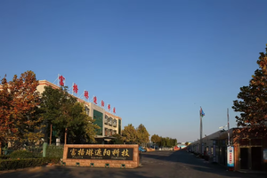 Tende Zebra automatiche per finestra OEM <span class=keywords><strong>stampa</strong></span> 3D decorazione per la casa Privacy PVC elettrico Smart 100% oscuramento delle tende <span class=keywords><strong>a</strong></span> <span class=keywords><strong>rullo</strong></span> motorizzate - Product Image 5