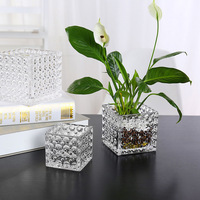 Jeu de pots pour plantes d'intérieur, petits pots carrés succulents, récipients hydroponiques en verre