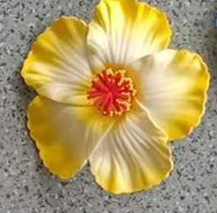 สีเหลือง