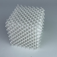 Personnaliser des cubes imprimés en 3D en TPU90A Impression 3D en TPU utilisée dans l'industrie de la chaussure / Casque de sport / Coussin de siège de course par impression 3D SLS