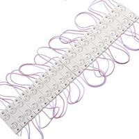 Module LED d'injection SUNLITE haute luminosité DC12V 2 diodes 1W IP65 pour enseignes extérieures lumineuses Blanc pur/Blanc froid