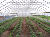 Serres agricoles de tunnel en plastique de film à portée unique de coût bas Serre agricole de cerceau