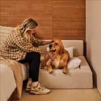 Großhandel Luxus Custom Großes Hunde bett Neues Design Wasserdicht Abnehmbare Ortho pä dische Matratze Couch Memory Foam Boucle Wolle Reptilien