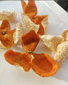 공장 가격 천연 감귤류 Aurantium 추출물 노빌리틴 오렌지 껍질 추출물 10% ~ 98% 노빌리틴 분말 (CAS NO 478-01-3) - Product Image 3