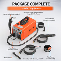 Nouvelle machine à souder FEIFANKE MIG 200, 220V, onduleur IGBT, soudeuse MIG/MAG sans gaz, fil fourré, portable, 200A, acier inoxydable