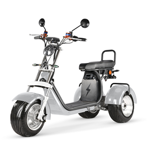 2026 4000w Dual Motor 2000W*2000W 60V 20a 3 Wheel Electric Tricycle Importer <strong>Scooter</strong> Adult - Product Image 1