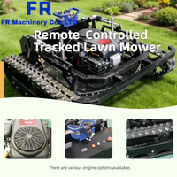 Livraison Gratuite CE EPA Euro 5 Tondeuse à Gazon Autopropulsée Porte-à-Porte Moteur Essence & Tondeuse Robot Tout-Terrain RCT800S