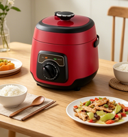Cuisinière à riz électrique mini automatique 2,5 L 600 W avec fonction maintien au chaud, boîtier en plastique, cuve antiadhésive et fonction minuterie PC50-J