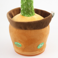 Cactus dansant, classique, vente en gros, cactus magique, nouveauté