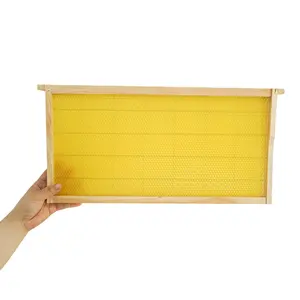 Bee wax / comb foundation sheet 100% bees wax sheets