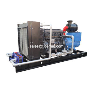 30 кВт 40 кВт 50 кВт 60 кВт 100 кВт 200 кВт 250 кВт 300 кВт небольшой биогазовый электрический генератор для продажи с системой очистки биогаза - Product Image 6