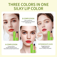 Rouge à lèvres mat à l'extrait d'aloe vera 3,6 g, changeant de couleur selon la température, tendance populaire, maquillage quotidien, OEM ODM, logo personnalisé