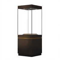 Vitrine rectangulaire en verre pour musée, pour l'exposition d'objets d'art culturels anciens, de bijoux, rangement multifonctionnel, noir, 120 cm