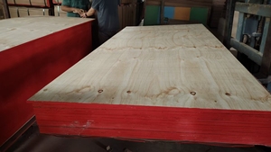 Panneau de contreplaqué en pin CDX écologique de conception moderne, épaisseurs <span class=keywords><strong>3</strong></span>/4\", 5/<span class=keywords><strong>8</strong></span>\", <span class=keywords><strong>3</strong></span>/4\", qualité construction pour usage extérieur - Product Image 2