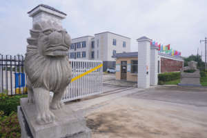 Gesso Dentale Tipo 2 Migliorato per Lavori di Precisione e Modellazione Dentale, Disponibile in Stock - Product Image 6