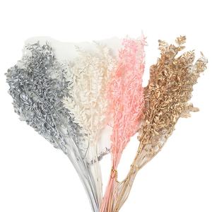 Ruscus italiano per la decorazione <span class=keywords><strong>fiori</strong></span> ricchi grandi <span class=keywords><strong>fiori</strong></span> secchi alti <span class=keywords><strong>fiori</strong></span> secchi bianchi Ruscus italiano - Product Image 2