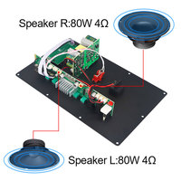 Carte d'Amplificateur Audio VIRE 5.3 à Haute Puissance DSP pour Enceinte Chariot Extérieure, Module d'Amplificateur Audio Mono Stéréo 160 W