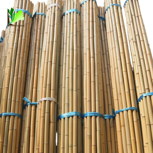 Culme de Bambu Natural Tratado, Ecológico, com Diâmetro de 6-60mm e Comprimento de 0.6-6m para Suporte de Plantas - Product Image 4