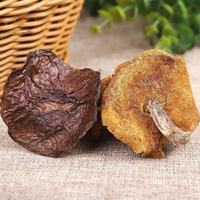 Song Mo Chine Suillus Luteus Slippery Jack en vrac, Suillus Luteus sauvage déshydraté L.ex Fr. Champignons gris à vendre