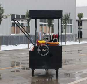 Triciclo eléctrico para congelador, carrito de venta al por menor de helados, frutas y café, para bebidas frías, bicicleta de carga eléctrica con paraguas - Product Image 5