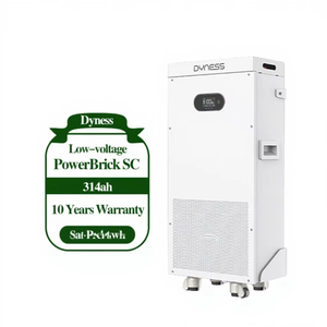 Batterie LiFePO4 Dyness PowerBrick SC 16,076 kWh 51,2 V 314 Ah, alimentation directe usine, 50 parallèles, pour stockage d'énergie solaire domestique - Product Image 2