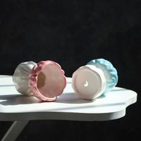 MSH Nouveau design, nouvelle glaçure colorée, petit pot pour plantes succulentes, cadeau de déménagement