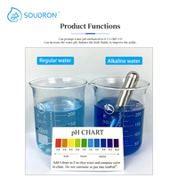 Filtre à eau bio alcalin de luxe pH 9.5 Nano boules d'hydrogène pour neutraliser l'eau acide de la voiture bâton alcalin sain