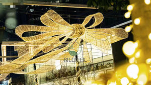 Luce decorativa con motivo a fiocco <span class=keywords><strong>di</strong></span> <span class=keywords><strong>neve</strong></span> per interni ed esterni IP65 per decorazioni natalizie paesaggio babbo natale - Product Image 6