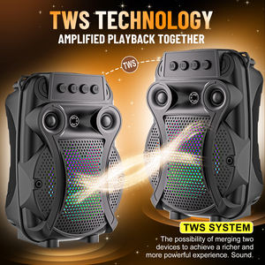 Haut-parleur Bluetooth sans fil mini <span class=keywords><strong>pas</strong></span> <span class=keywords><strong>cher</strong></span> SING-E avec fonction radio FM, caisson de basses avec micro, adapté au karaoké <span class=keywords><strong>et</strong></span> aux fêtes - Product Image 5