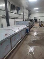 Tunnel multifonctionnel pasteurisateur bain-marie emballé concombre mariné Kimchi cornichons ligne de pasteurisation et de refroidissement
