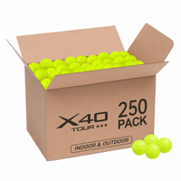 Fabrika Çıkış Fiyatı X40 Pickleball Oem 40 Delikli Dış Mekan Pickleball Topu X40 Pickleball Kort Zemini USAPA & UPA-A Pickleball