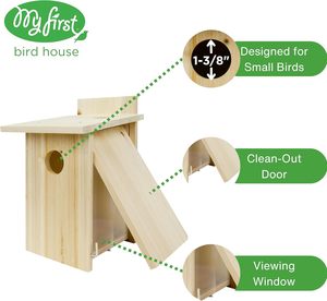 Voliera Speciale in Legno Massello Mobile per Pappagalli, Villa Panoramica in Ferro e Frassino per Uccelli del Sole e Altri Animali Domestici - Product Image 4