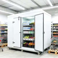 Chambre froide cryogénique de congélation rapide pour la transformation et le stockage des aliments, y compris la crème glacée, à usage commercial