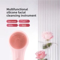 Nettoyeur facial en silicone, brosse de massage vibrante chauffante électrique, étanche, nettoyage en profondeur, rechargeable, pour minimiser les pores