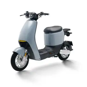 1000w 60v /72v doppio disco personalizzato fornitura di fabbrica Scooter elettrico per adulti moto elettrica