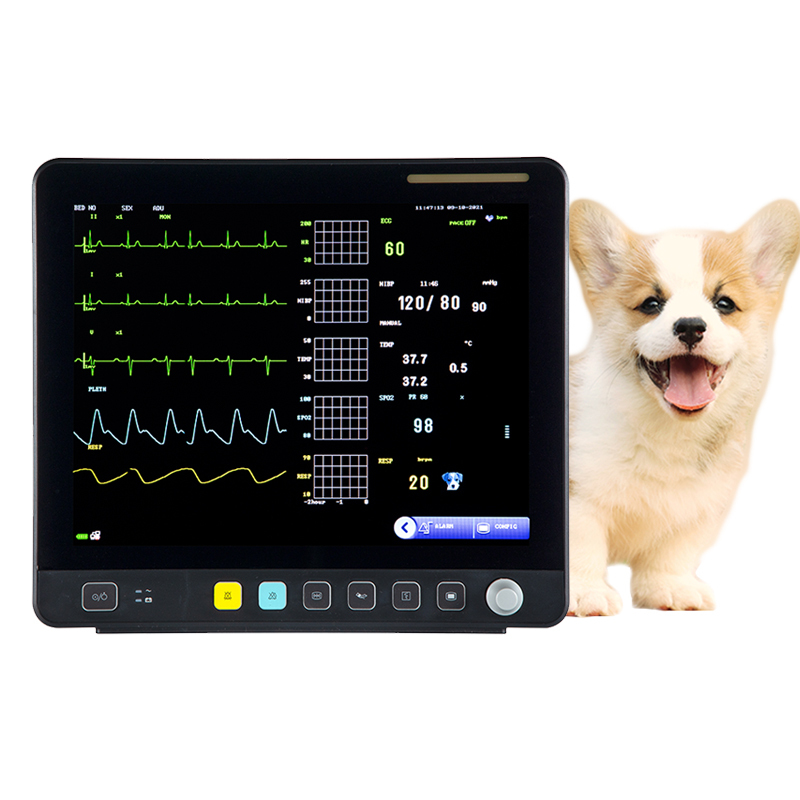 15 inch TFT LCD Screen Veterinary monitor vet analyze device vet monitor Vital Signs monitor 6 parameters