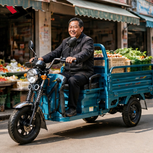 Tricycle motorisé à trois roues, moto à trois roues, capacité supérieure à 40 km/h, système de suspension, ETW 48V/60V 800W, tricycle à 3 roues - Product Image 3