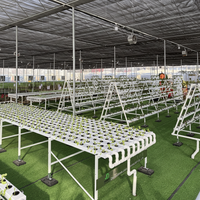 Système de culture en serre à canaux NFT en PVC commercial, tuyau en PVC pour systèmes hydroponiques pour laitues et légumes-feuilles